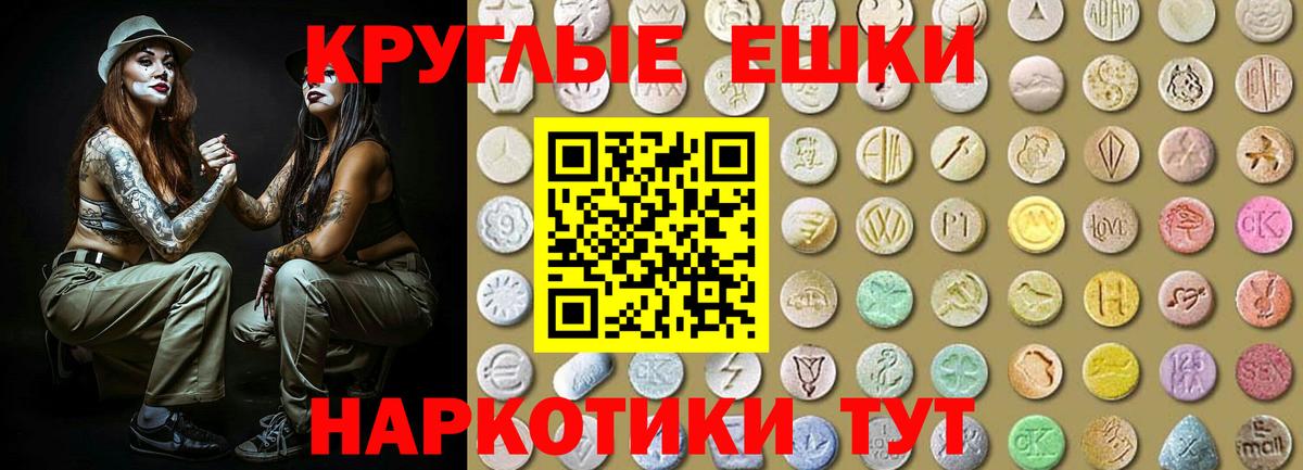 ЭКСТАЗИ бентли Гусев