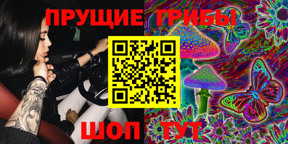 Гусев  купить наркоту  Вход с VPN  Галлюциногенные грибы мухоморы 